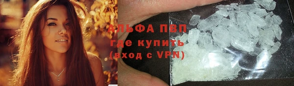 хмурый Аркадак