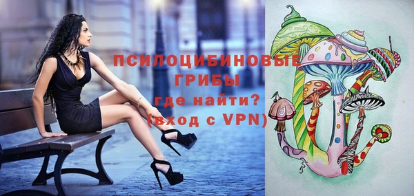 дживик Арсеньев