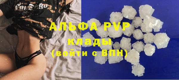 хмурый Аркадак