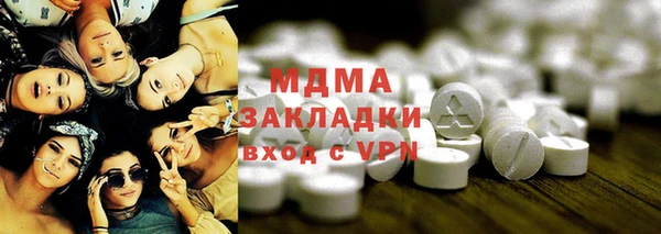 хмурый Аркадак