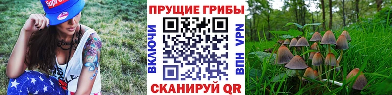 Галлюциногенные грибы ЛСД  Сердобск 